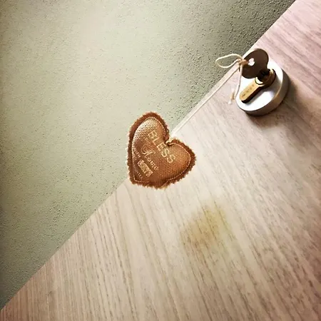 The Hive Stefy's * إيغليزياس